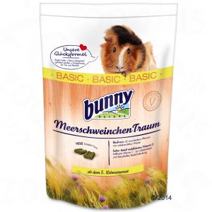 Bunny: Meerschweinchen Traum