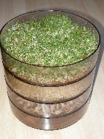 toranj za uzgoj klica